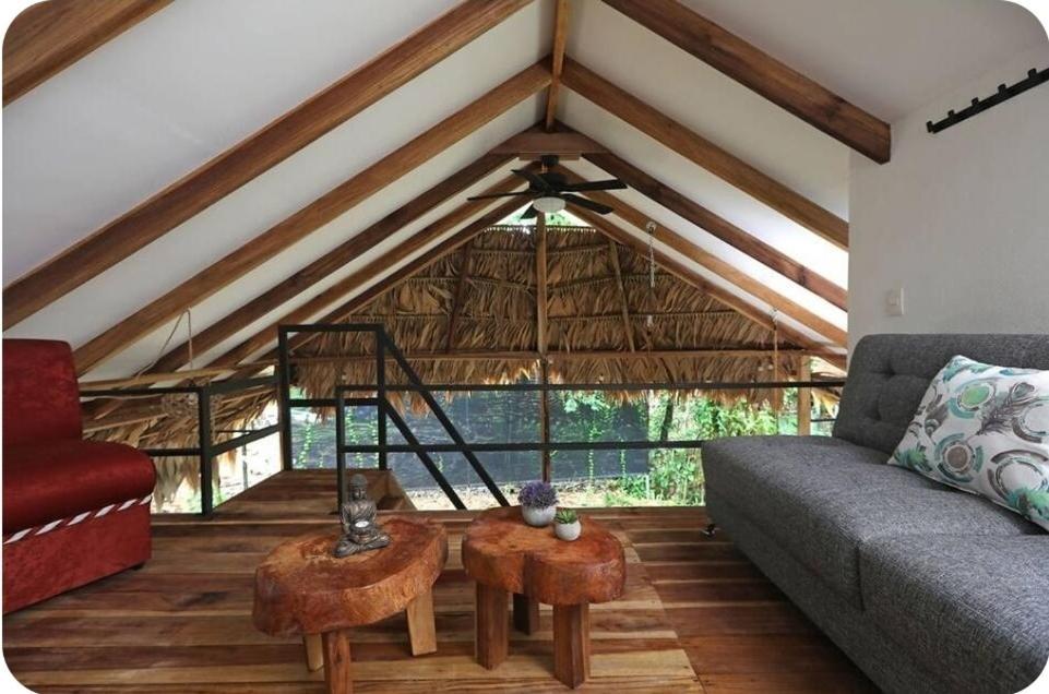 Vila Evolution House Jungle Oasis Hone Creek Exteriér fotografie