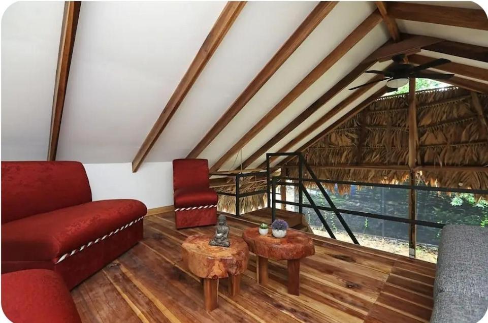 Vila Evolution House Jungle Oasis Hone Creek Exteriér fotografie