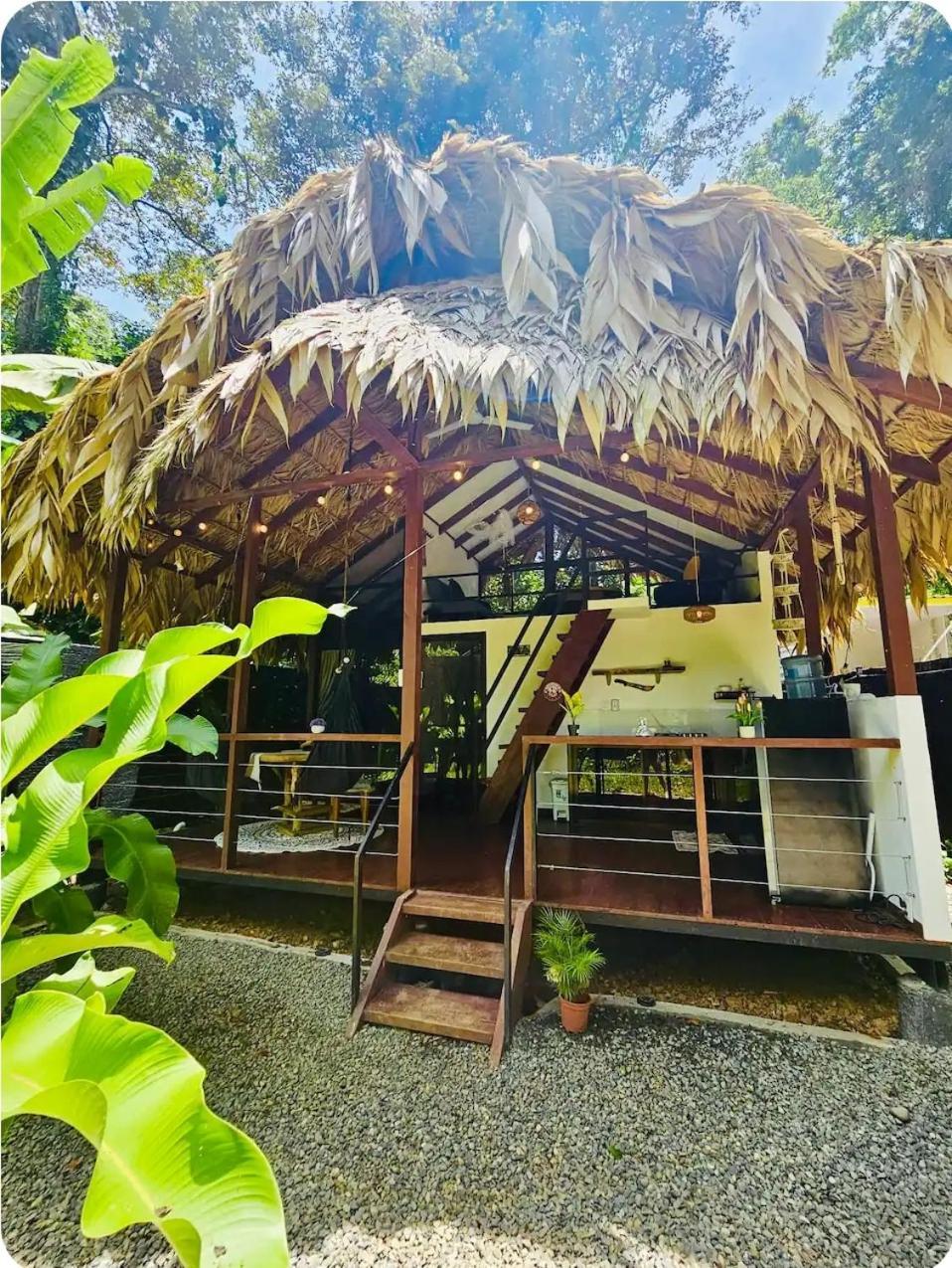 Vila Evolution House Jungle Oasis Hone Creek Exteriér fotografie