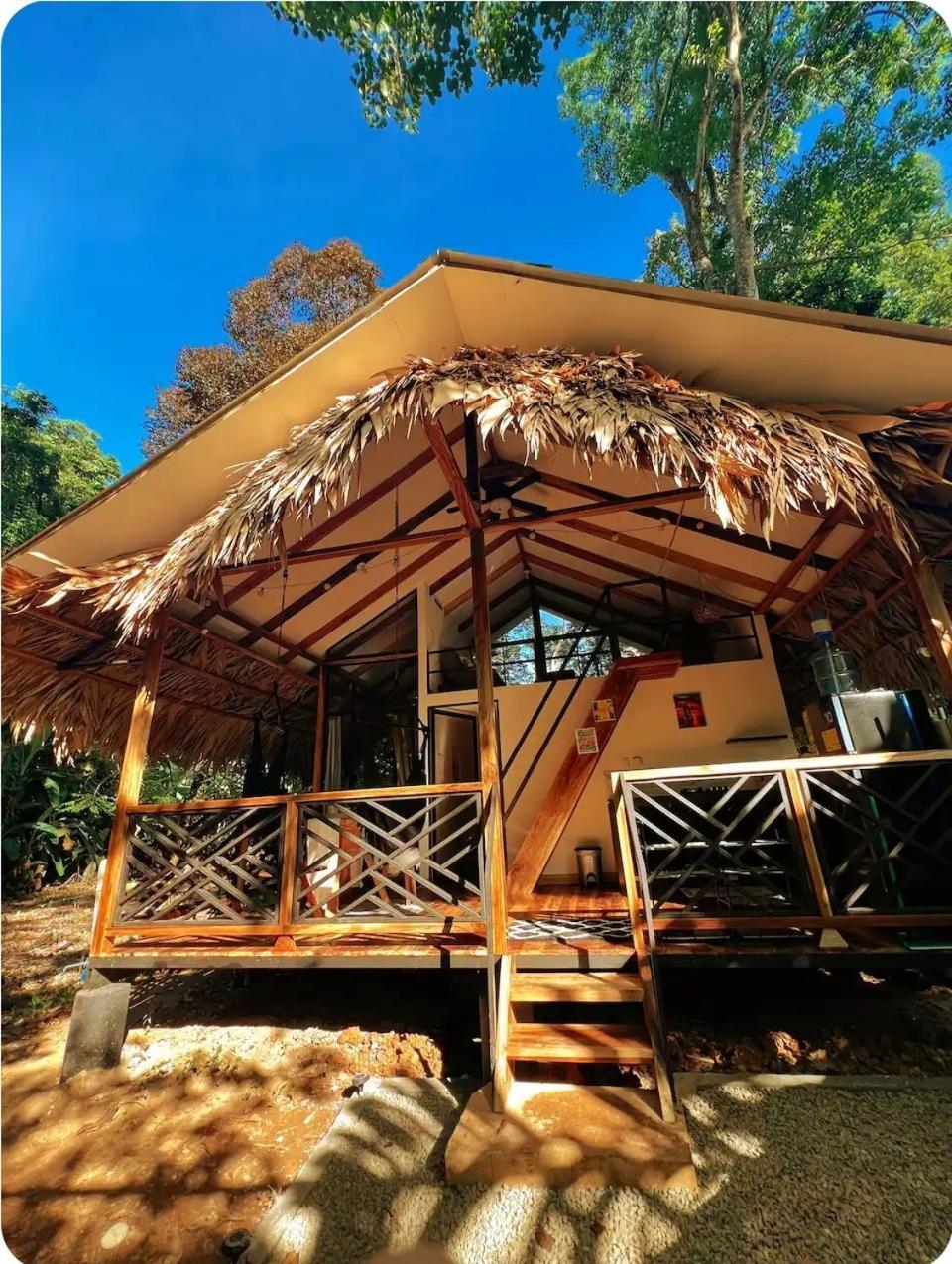 Vila Evolution House Jungle Oasis Hone Creek Exteriér fotografie