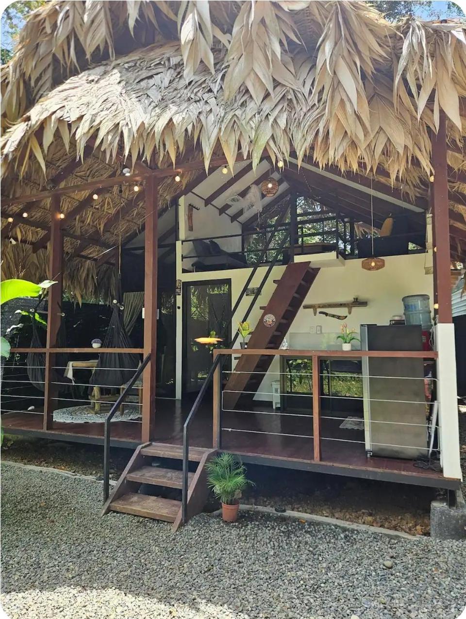 Vila Evolution House Jungle Oasis Hone Creek Exteriér fotografie